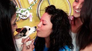 Resumen: Expulsión Raquel y amigo invisible