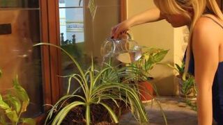 Regando terminamos follando